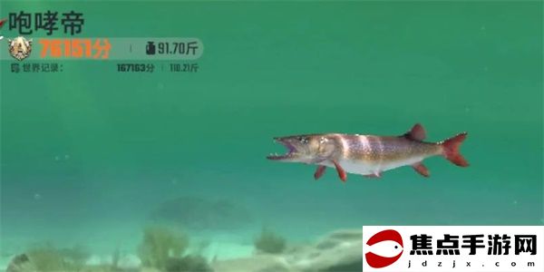 《歡樂釣魚大師》咆哮帝釣魚技巧一覽