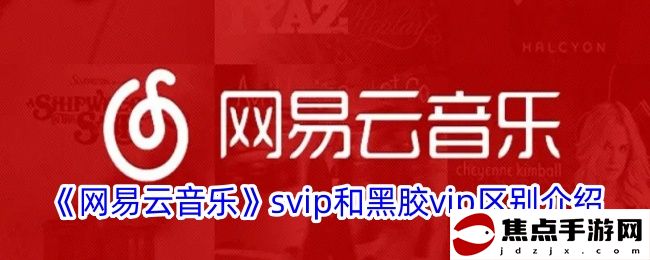 《網易云音樂》svip和黑膠vip區別介紹