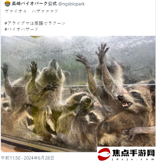 長崎動物園發浣熊驚悚圖片 生化危機官方驚呼太像了