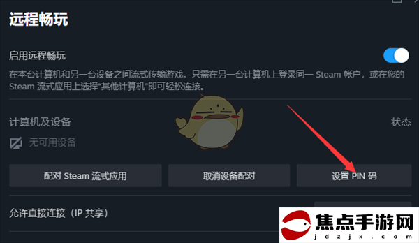 《steam》設置流式傳輸pin碼教程
