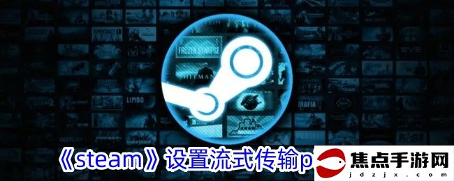 《steam》設置流式傳輸pin碼教程